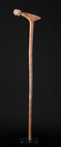 Walking stick 5201th.jpg